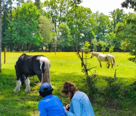 formation equicoaching Dol-de-Bretagne-4