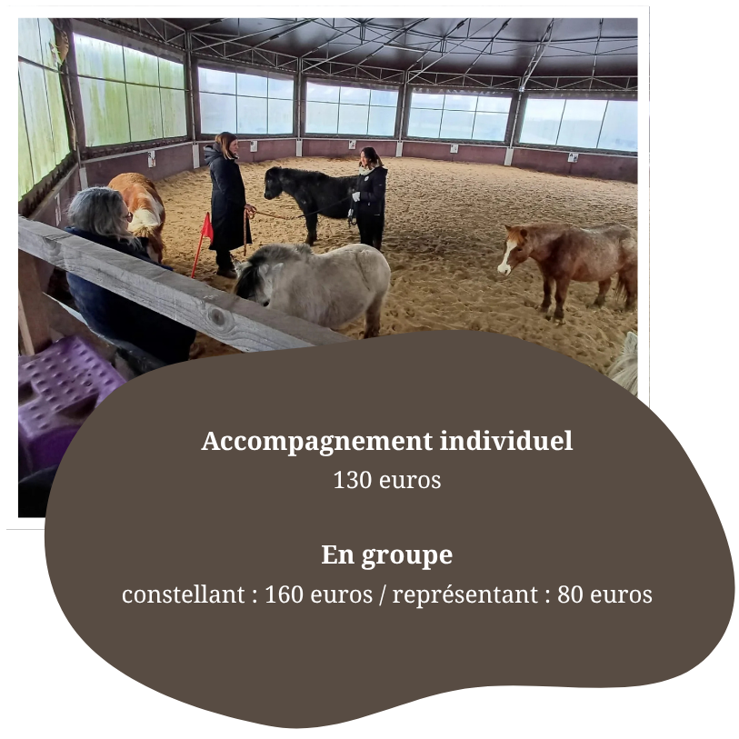 formation equicoaching dol de bretagne