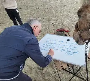 formation equicoaching Fougères-1