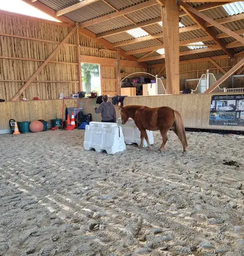 formation equicoaching Fougères-3