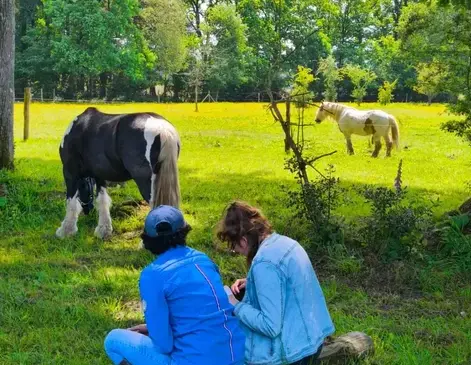 formation equicoaching Fougères-4