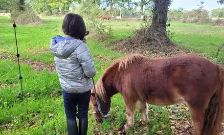 formation equicoaching Fougères-5