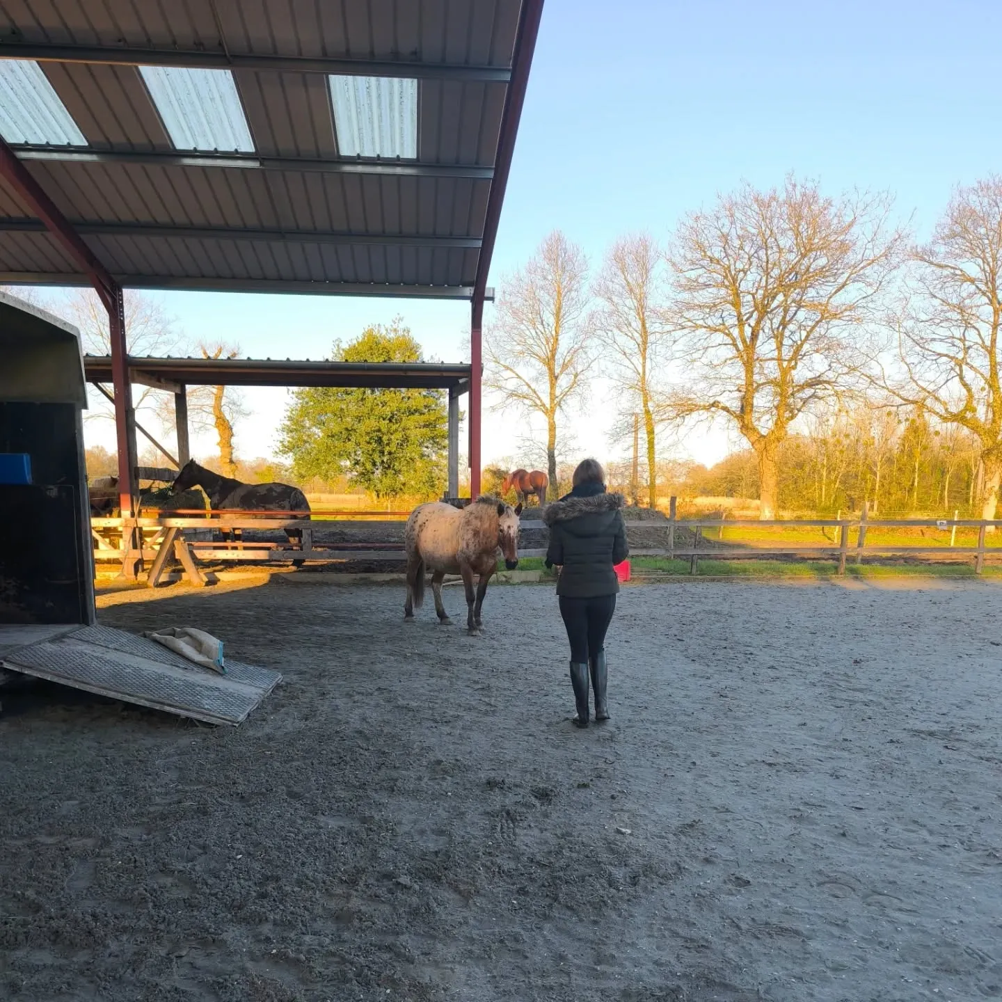 formation equicoaching ille et vilaine