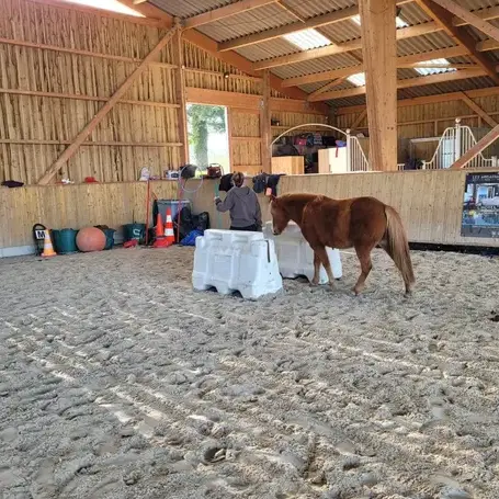 formation equicoaching à Ille-et-Vilaine - image 2