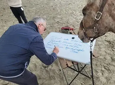 formation equicoaching à Ille-et-Vilaine - image 3
