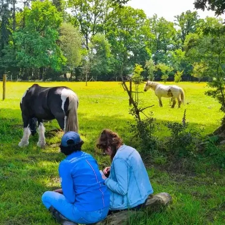 formation equicoaching à Ille-et-Vilaine - image 4