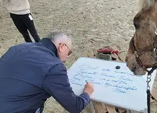 formation equicoaching Maen Roch-1