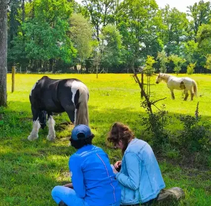 formation equicoaching Maen Roch-3