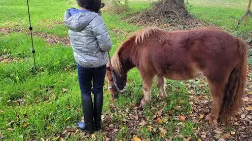 formation equicoaching Maen Roch-4