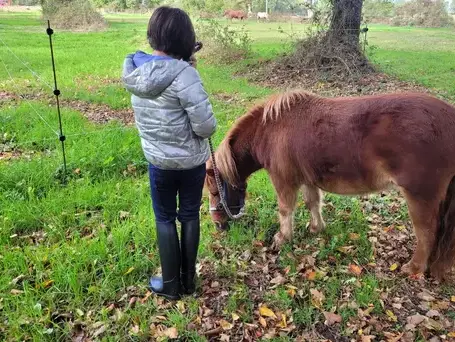 formation equicoaching à Normandie - image 4