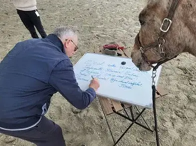 formation equicoaching Normandie-5