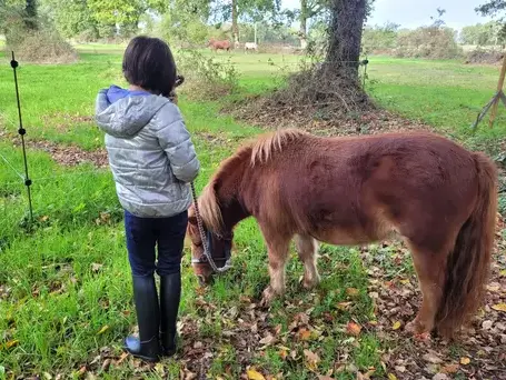 formation equicoaching à Pontorson - image 4