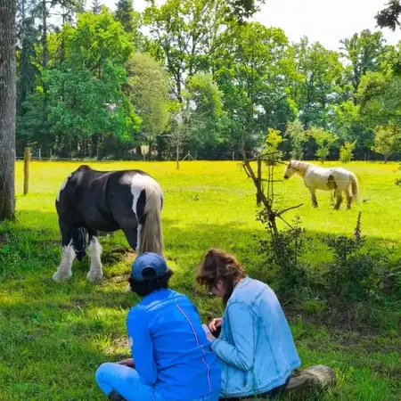 formation equicoaching Pontorson-5