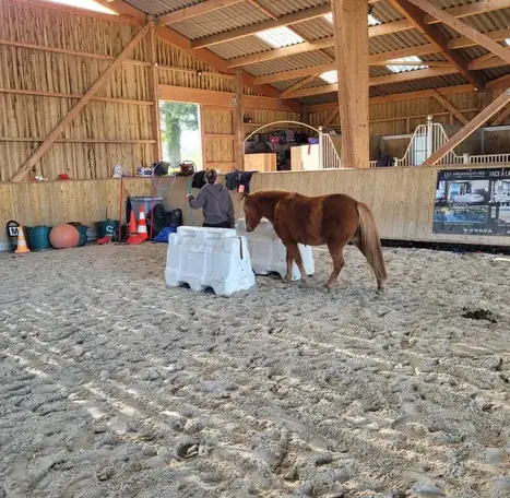 formation equicoaching Rennes-3