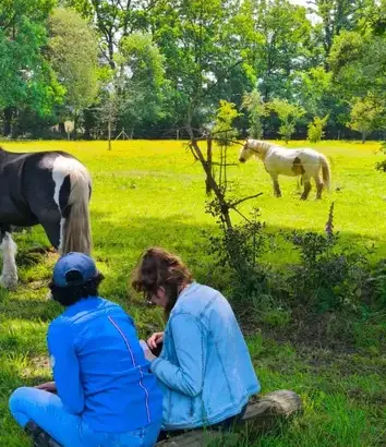 formation equicoaching Rennes-5