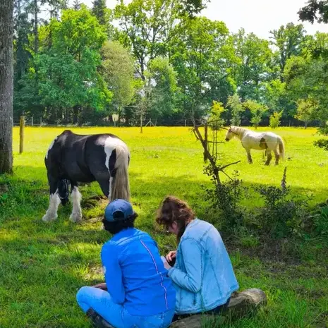 formation gestion des émotions à Avranches - image 2