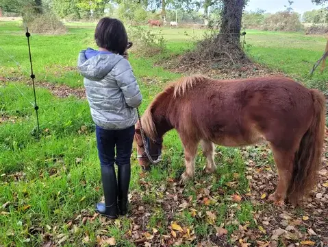 formation gestion des émotions Avranches-5