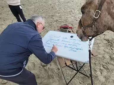formation gestion des émotions à Bretagne - image 4