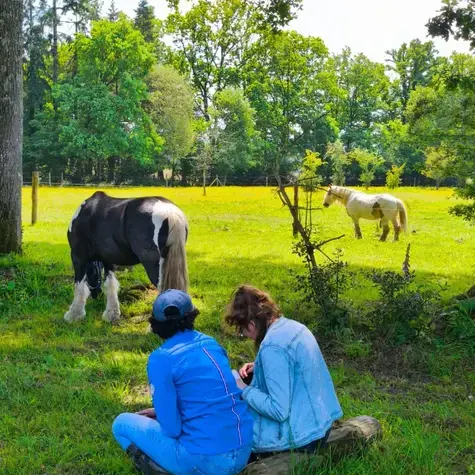 formation gestion des émotions Bretagne-5