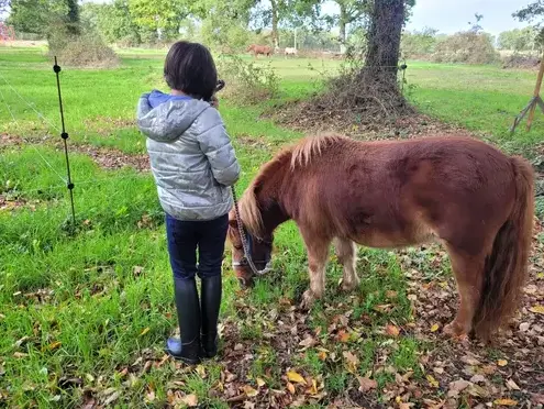 formation gestion des émotions à Combourg - image 2