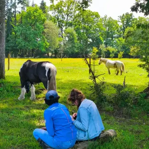 formation gestion des émotions à Combourg - image 3
