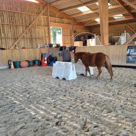 formation gestion des émotions à Combourg - image 4