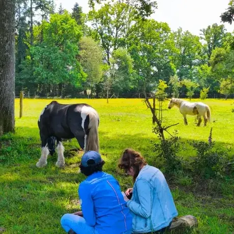 formation gestion des émotions à Dol-de-Bretagne - image 3