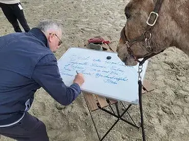 formation gestion des émotions Dol-de-Bretagne-5