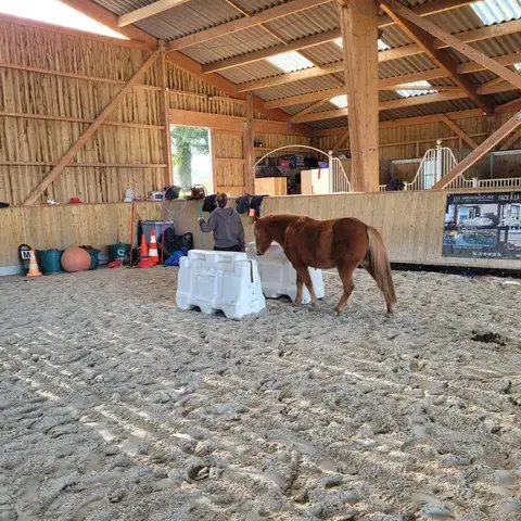 formation gestion des émotions Fougères-1