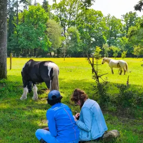 formation gestion des émotions à Fougères - image 2