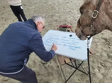 formation gestion des émotions à Ille-et-Vilaine - image 2