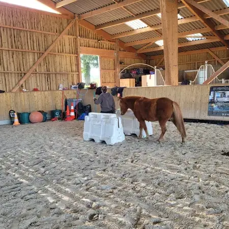 formation gestion des émotions à Ille-et-Vilaine - image 4
