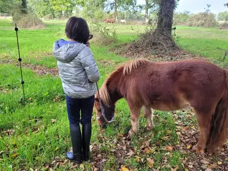 formation gestion des émotions Ille-et-Vilaine-5