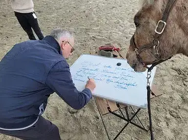 formation gestion des émotions Maen Roch-1