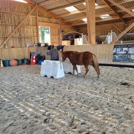 formation gestion des émotions à Maen Roch - image 2