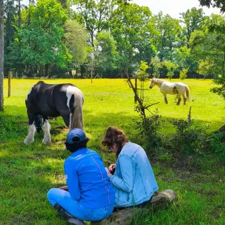 formation gestion des émotions à Maen Roch - image 3