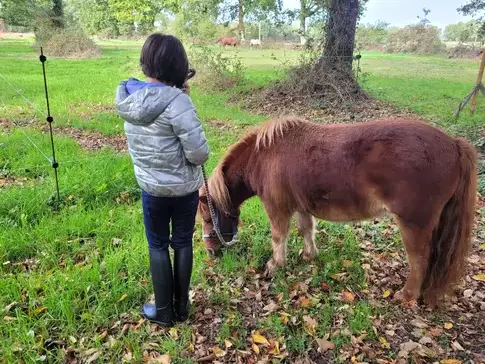 formation gestion des émotions Normandie-1