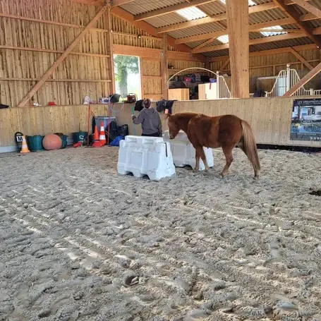 formation gestion des émotions à Normandie - image 3