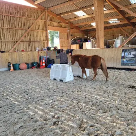 formation gestion des émotions Pontorson-1