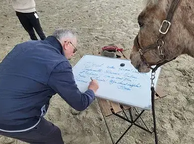 formation gestion des émotions à Pontorson - image 2