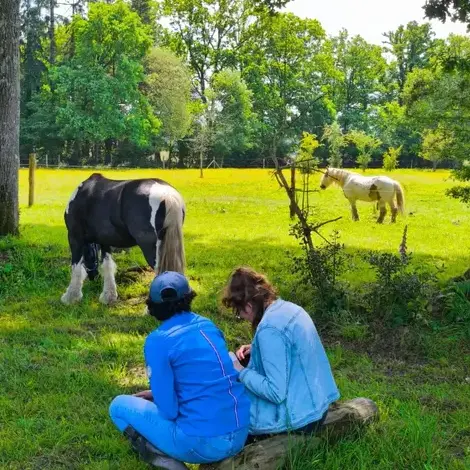 formation gestion des émotions à Pontorson - image 3