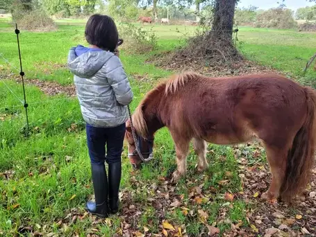 formation gestion des émotions à Pontorson - image 4