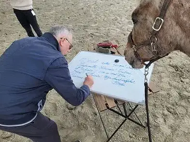 formation gestion des émotions à Rennes - image 2