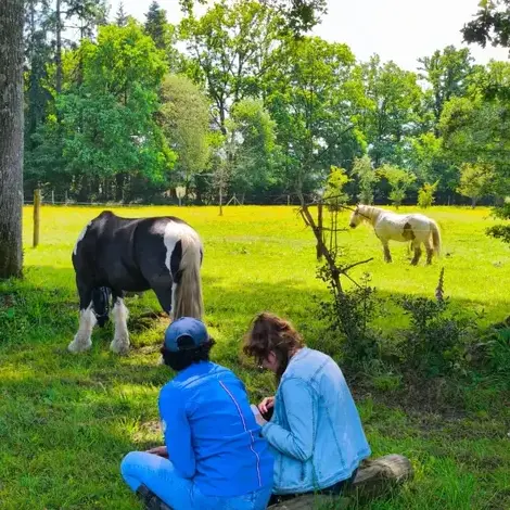 formation gestion des émotions à Rennes - image 3