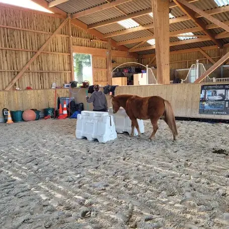 formation gestion des émotions Rennes-5