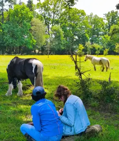 médiation équine Avranches-2
