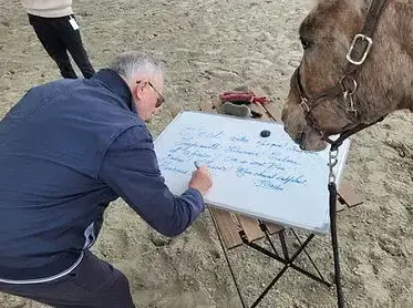 médiation équine Bretagne-1