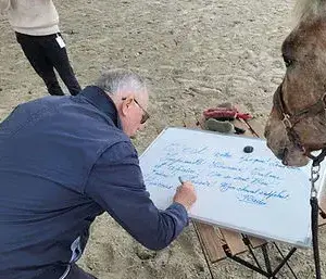 médiation équine Combourg-1