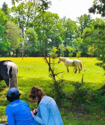 médiation équine Combourg-2