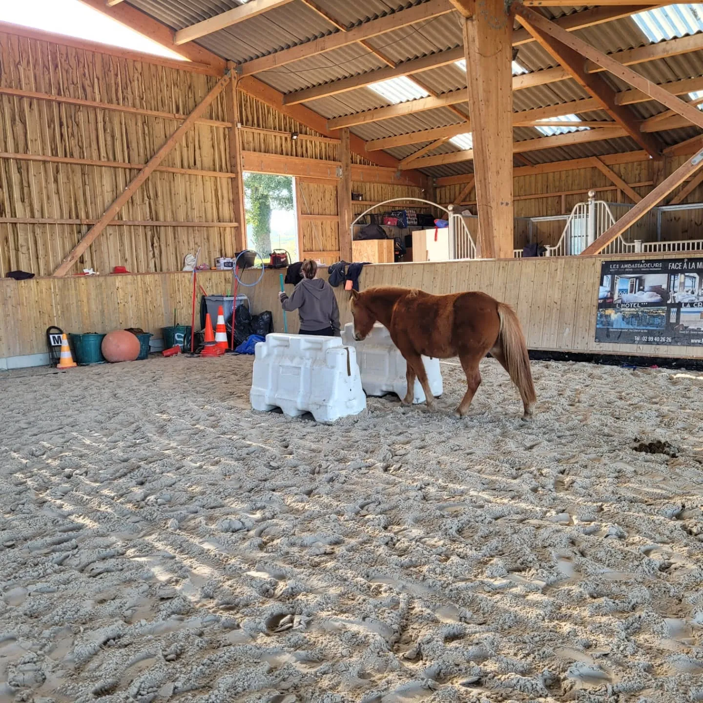 mediation equine combourg